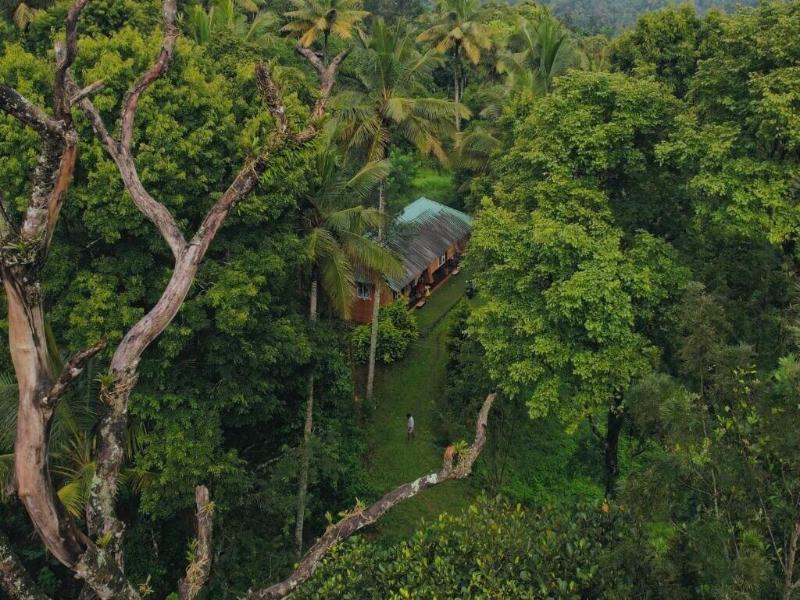 Punarjani Ayurvedic Resort