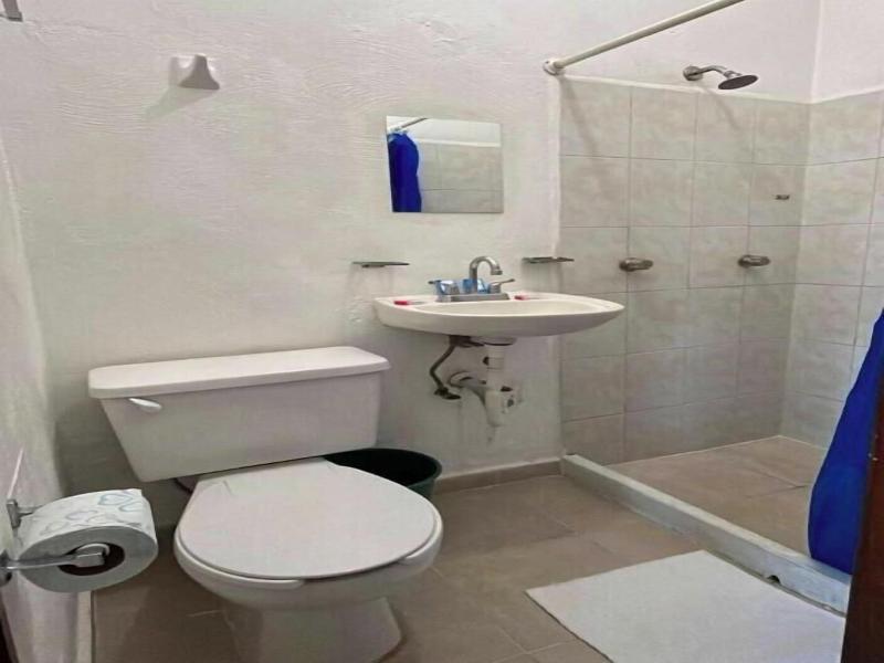 Hotel Ameyali Tequesquitengo image
