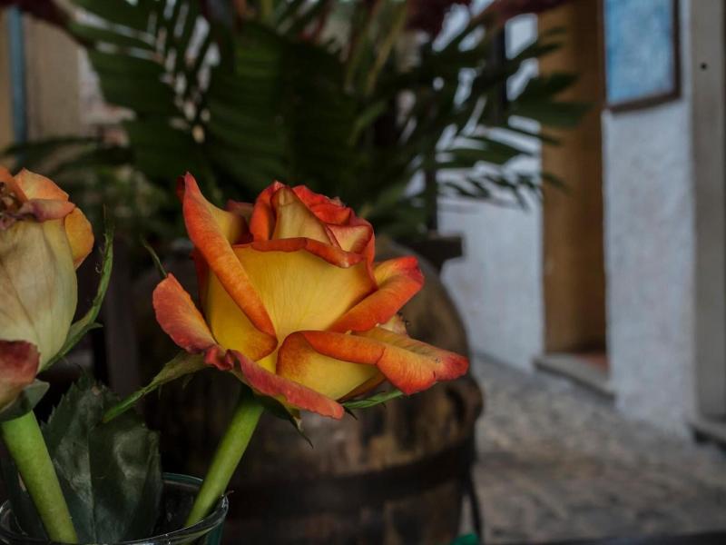 Posada El Antano  image