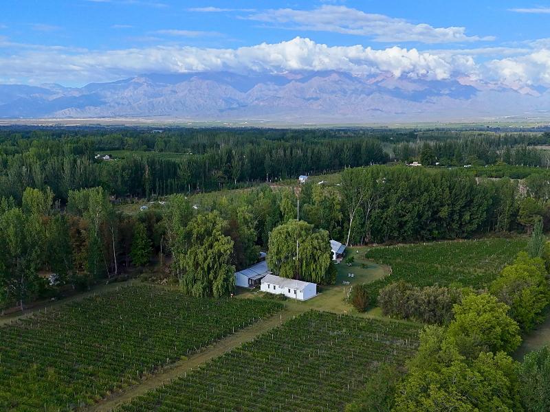 Postales Finca & Bodega by DOT Boutique image