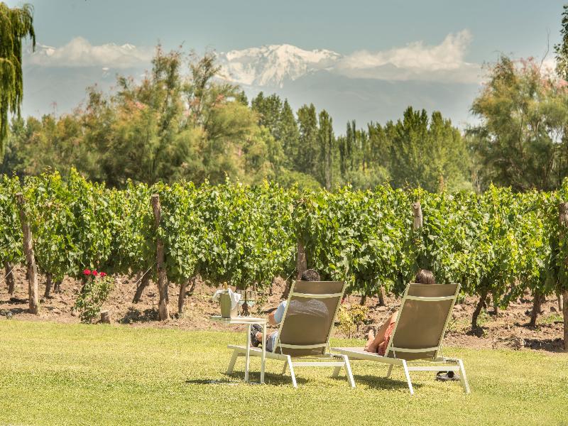 Postales Finca & Bodega by DOT Boutique image