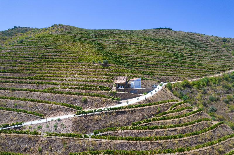 Casa Do Rio Wine Hotel image