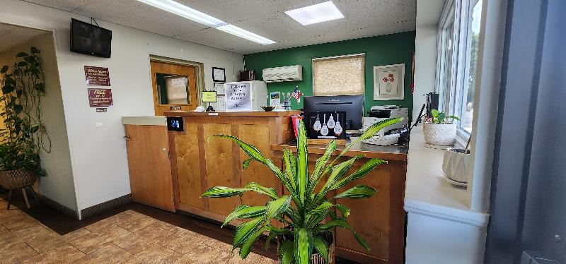 Lantern Motel image