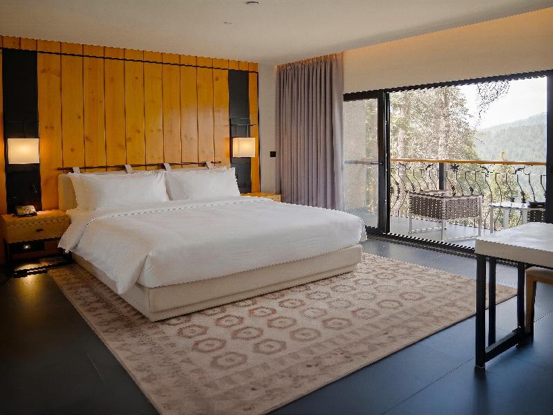 Doubletree By Hilton Nathiagali image
