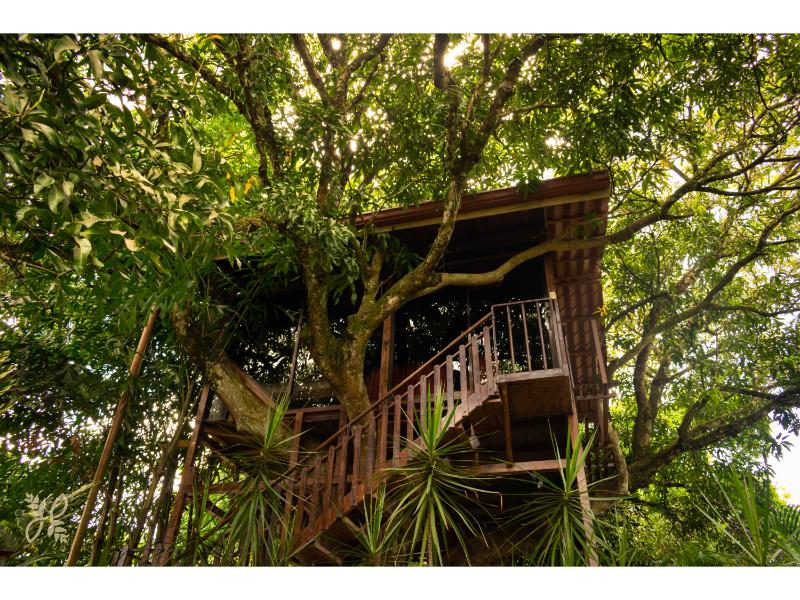 Heliconias Nature Inn & Hot Springs
