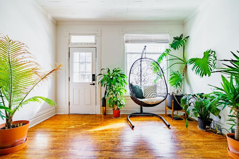 Jungle House - Luxury Stays image