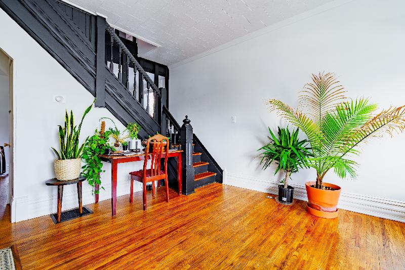 Jungle House - Luxury Stays image