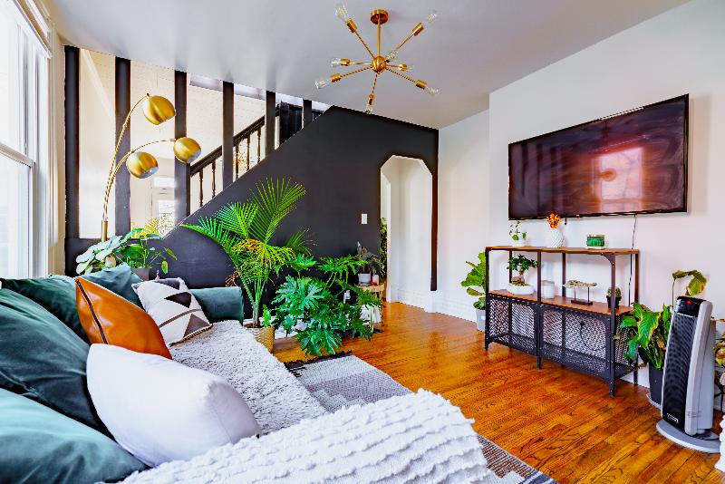 Jungle House - Luxury Stays image