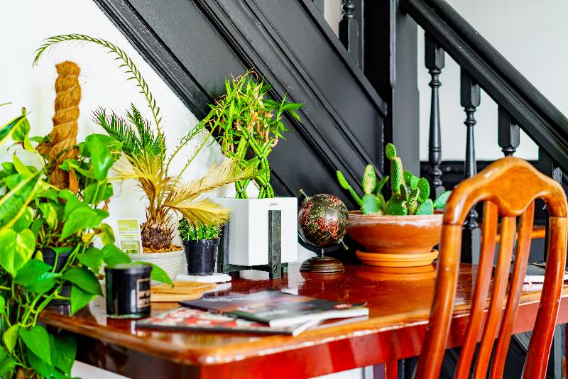 Jungle House - Luxury Stays image