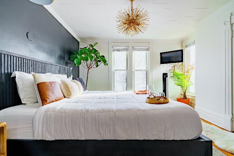 Jungle House - Luxury Stays image