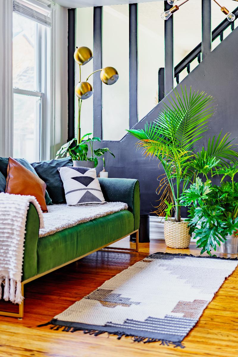 Jungle House - Luxury Stays image