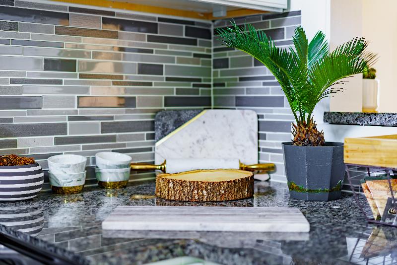 Jungle House - Luxury Stays image