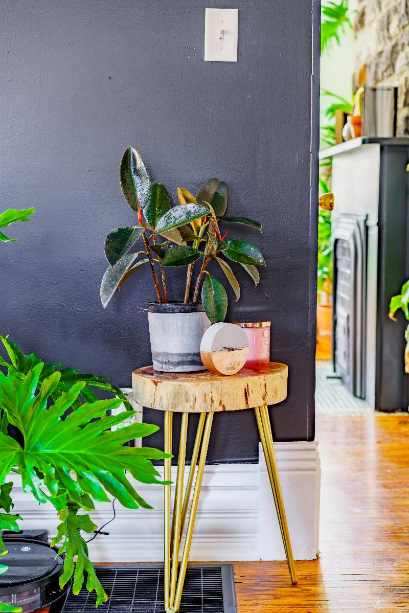 Jungle House - Luxury Stays image