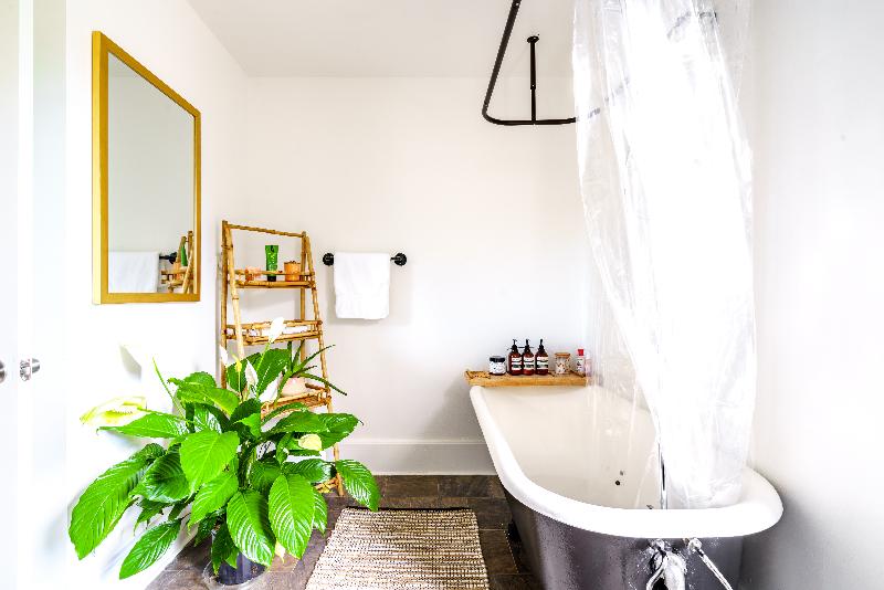 Jungle House - Luxury Stays image