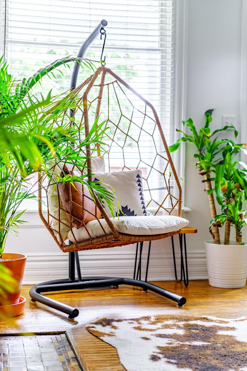 Jungle House - Luxury Stays image