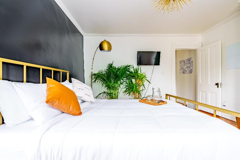 Jungle House - Luxury Stays image
