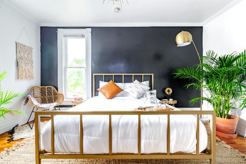 Jungle House - Luxury Stays image