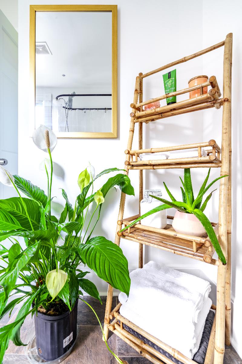 Jungle House - Luxury Stays image