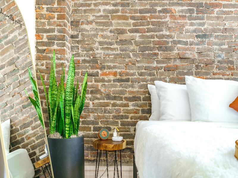 Jungle House - Luxury Stays image