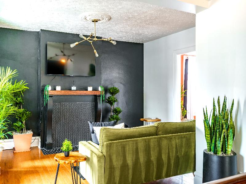 Jungle House - Luxury Stays image