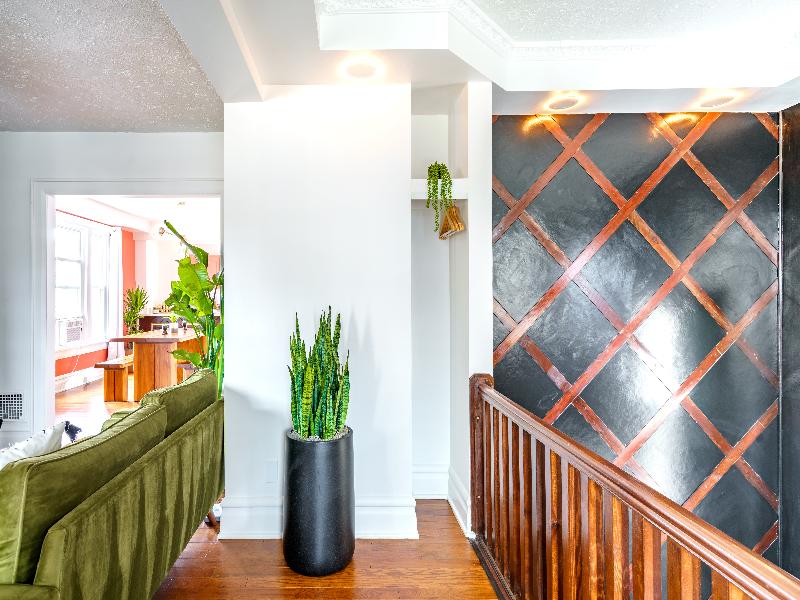 Jungle House - Luxury Stays image