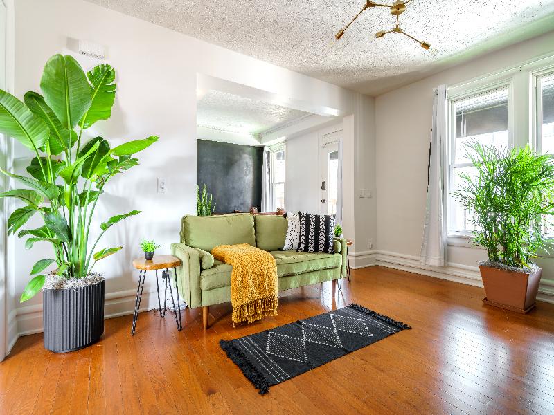 Jungle House - Luxury Stays image