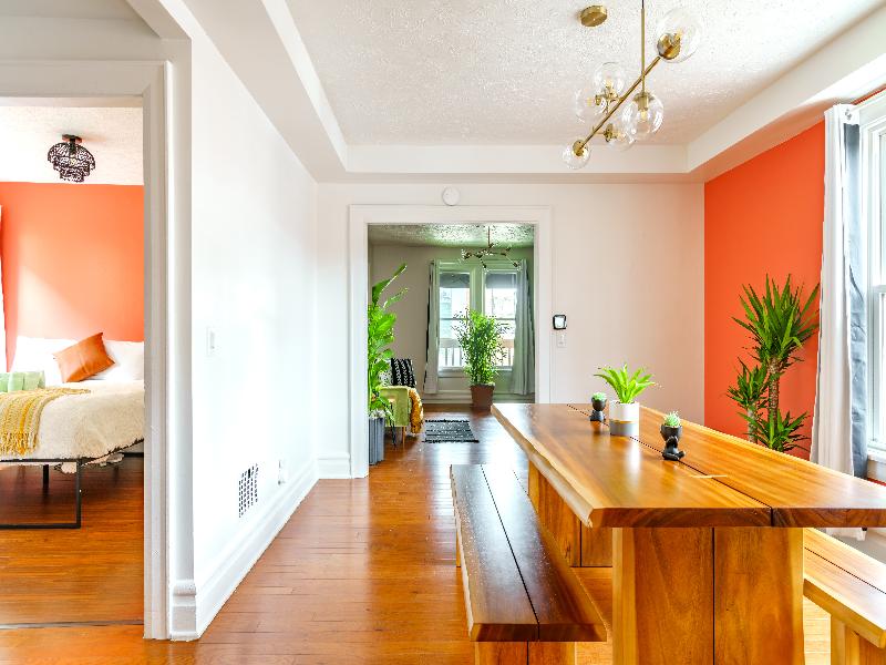 Jungle House - Luxury Stays image