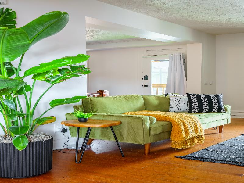 Jungle House - Luxury Stays image