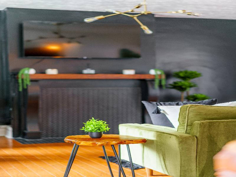 Jungle House - Luxury Stays image