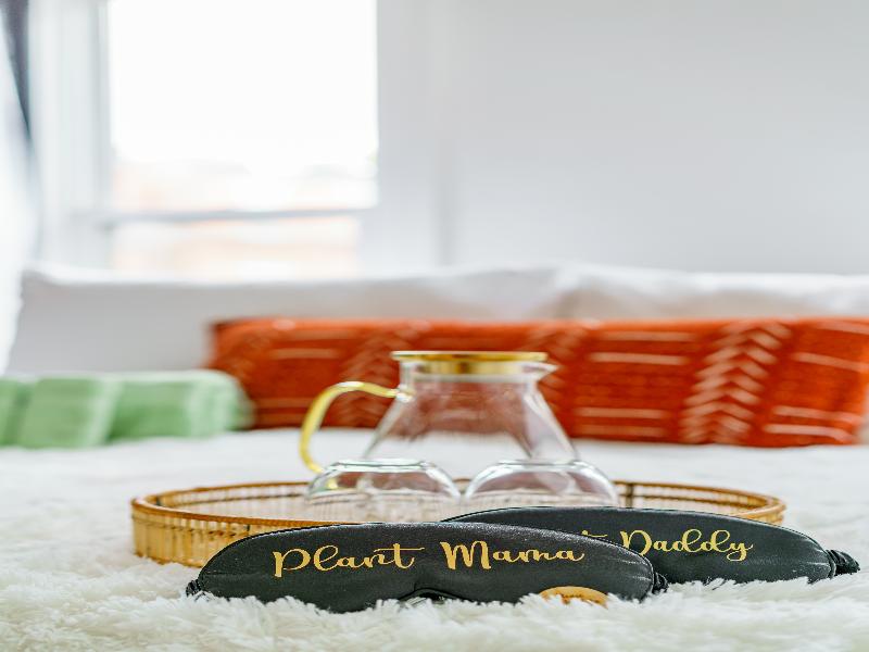 Jungle House - Luxury Stays image