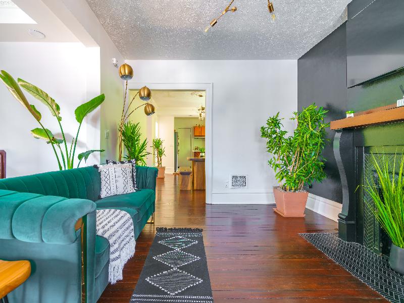 Jungle House - Luxury Stays image