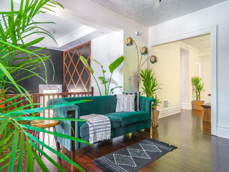 Jungle House - Luxury Stays image