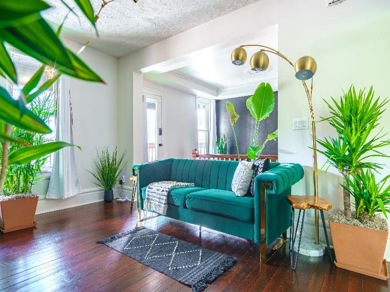 Jungle House - Luxury Stays image
