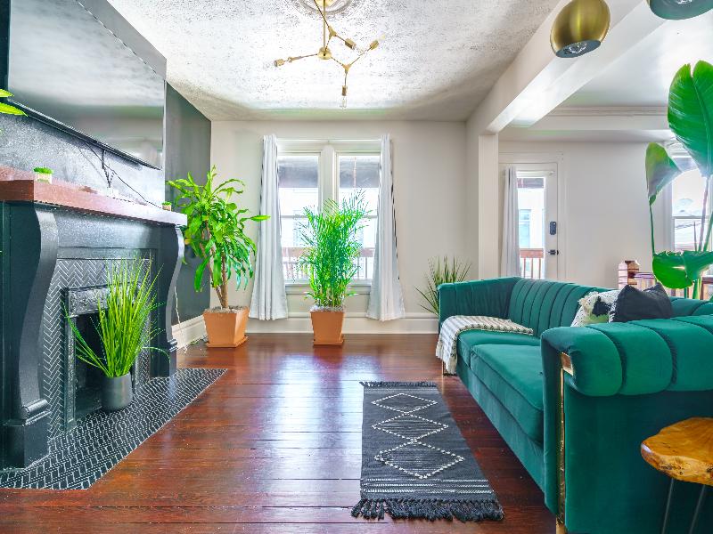 Jungle House - Luxury Stays image