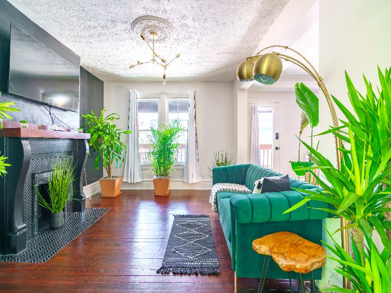 Jungle House - Luxury Stays image