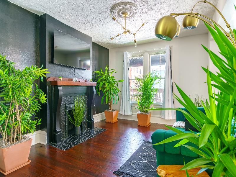 Jungle House - Luxury Stays image