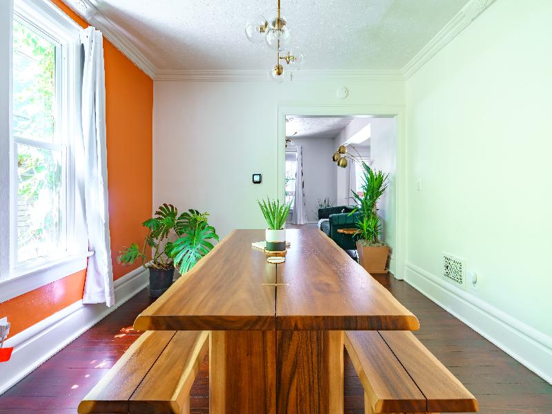 Jungle House - Luxury Stays image