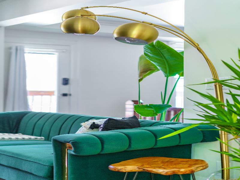 Jungle House - Luxury Stays image