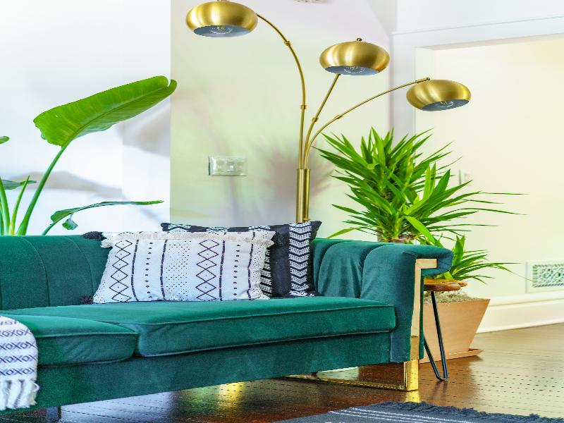 Jungle House - Luxury Stays image