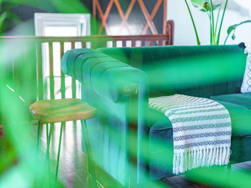 Jungle House - Luxury Stays image