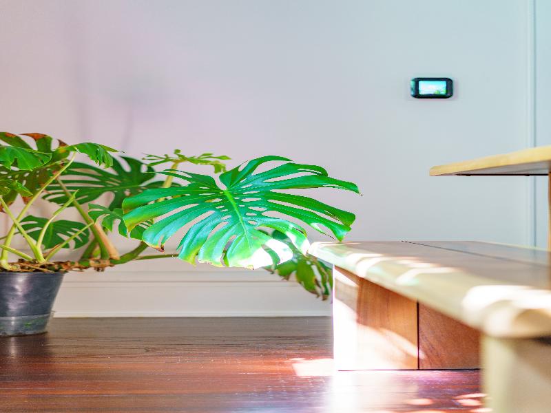 Jungle House - Luxury Stays image