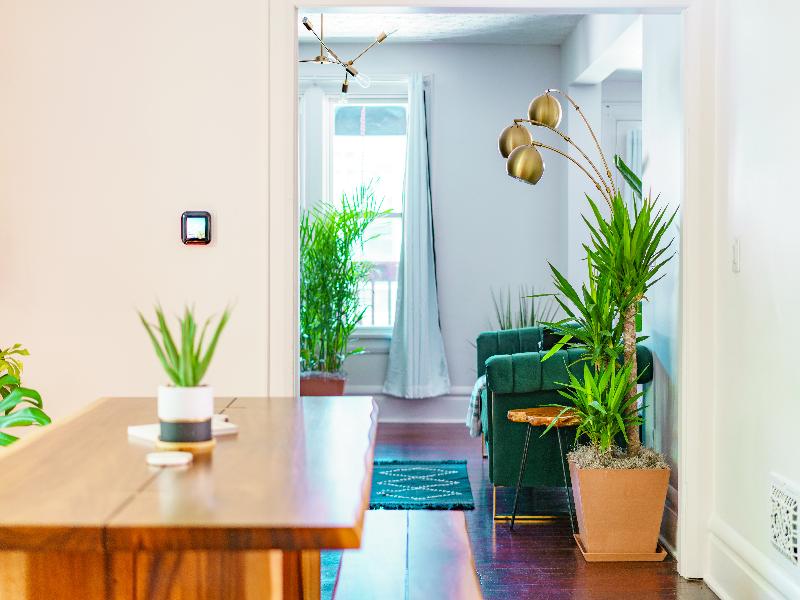 Jungle House - Luxury Stays image