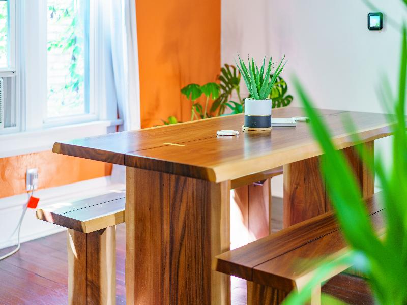 Jungle House - Luxury Stays image