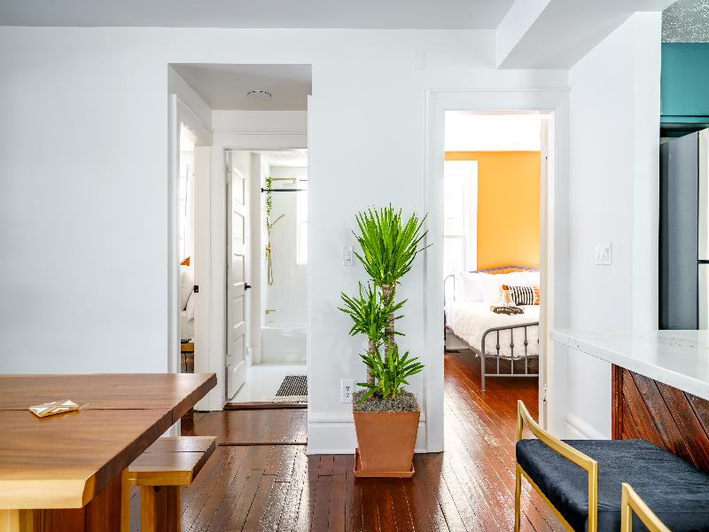 Jungle House - Luxury Stays image