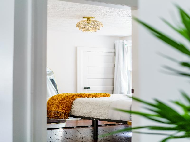 Jungle House - Luxury Stays image