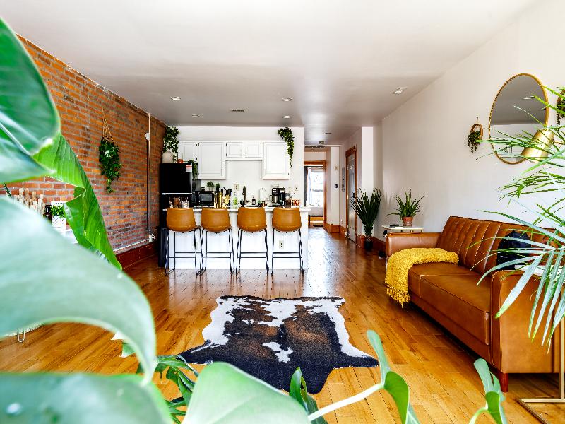 Jungle House - Luxury Stays image