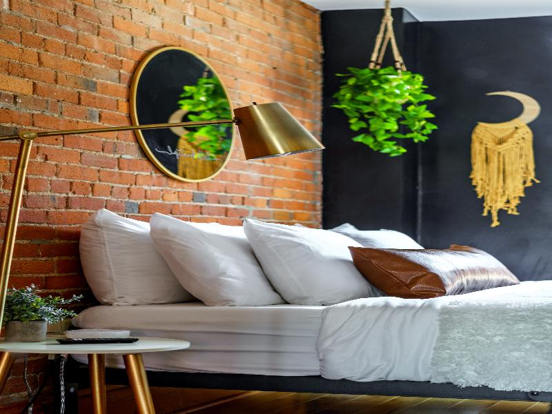 Jungle House - Luxury Stays image