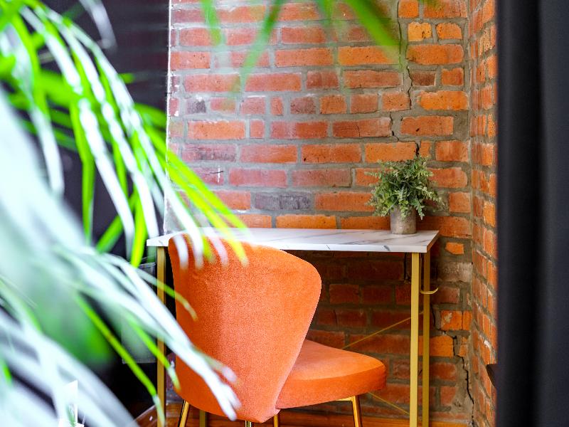 Jungle House - Luxury Stays image