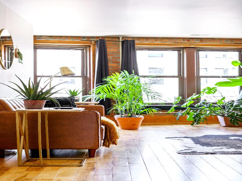 Jungle House - Luxury Stays image