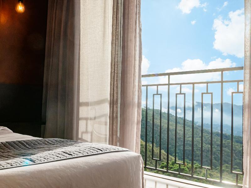 Gran Paradiso by Liva Oficial — general view